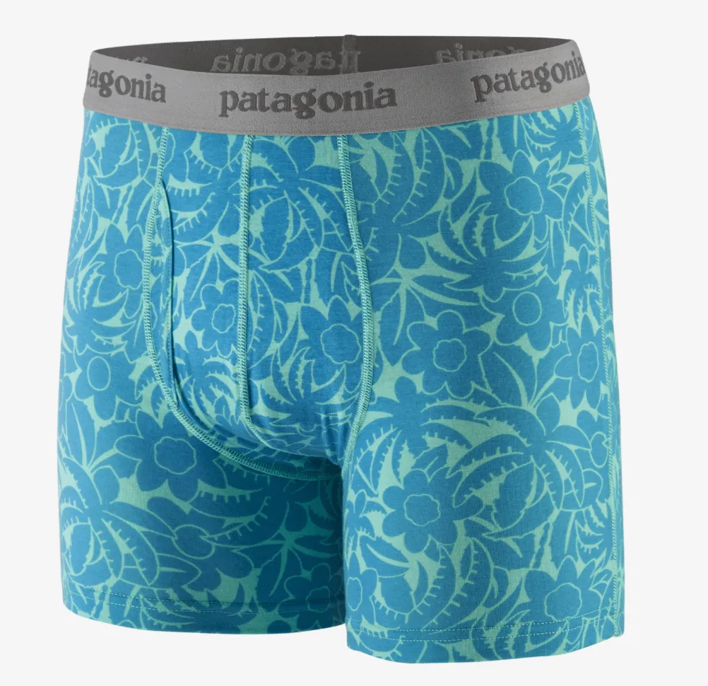 Patagonia Men's Essential Boxer Briefs - 3"