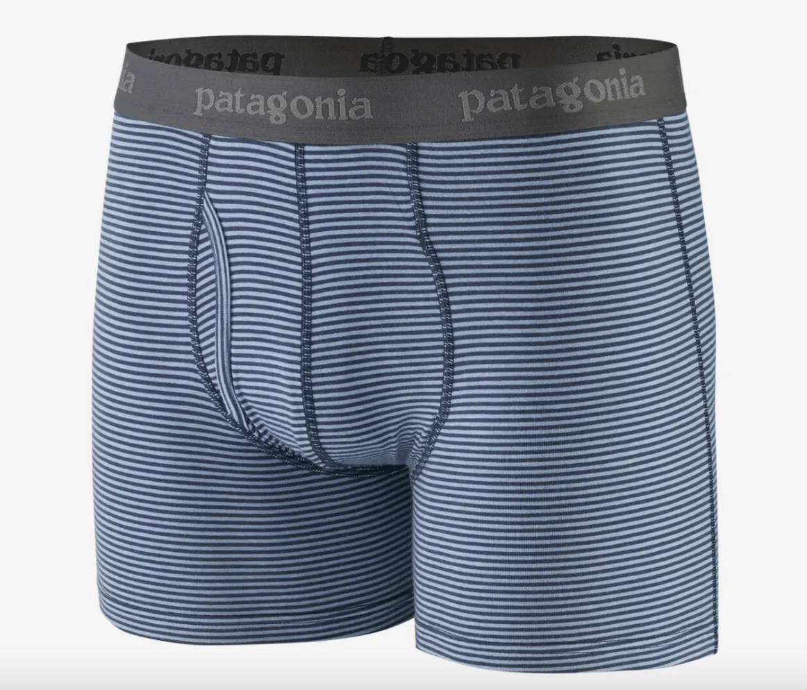 Patagonia Men's Essential Boxer Briefs - 3"