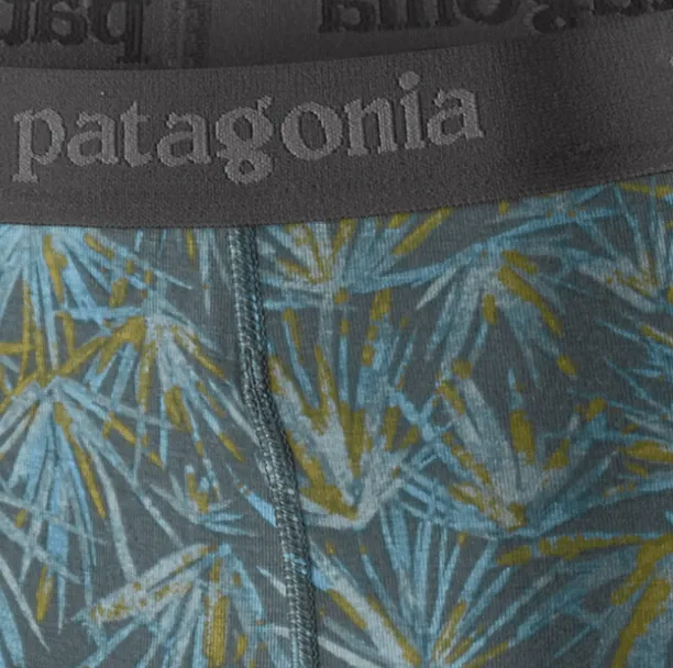 Patagonia Men's Essential Boxer Briefs - 3"