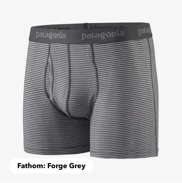 Patagonia Men's Essential Boxer Briefs - 3"